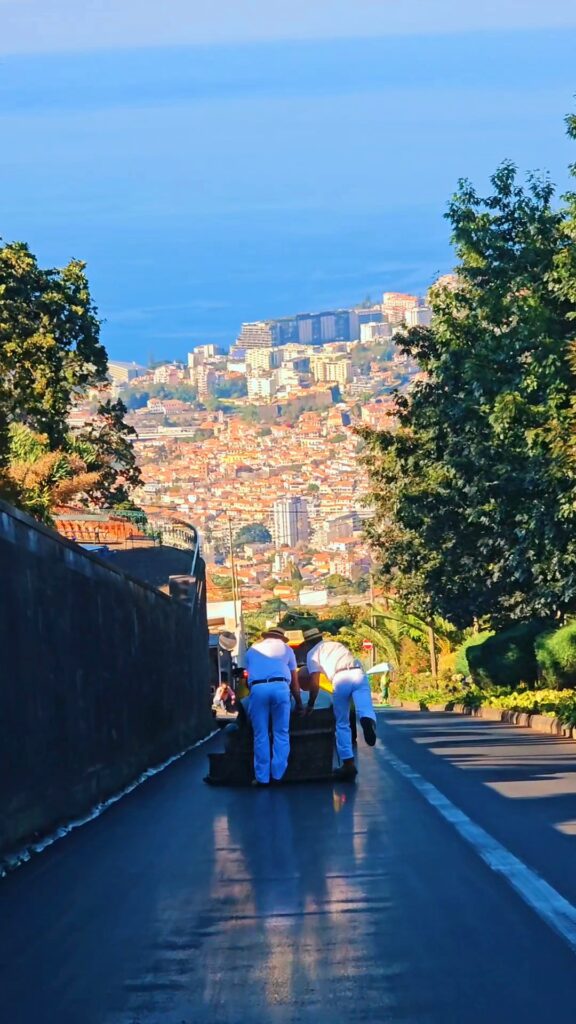 madeira with kids family adventure